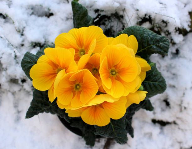 A Warm Message to Brighten Your Day - Knitting or Crocheting Preferences A Warm Message to Brighten Your Day - Knitting or Crocheting Preferences