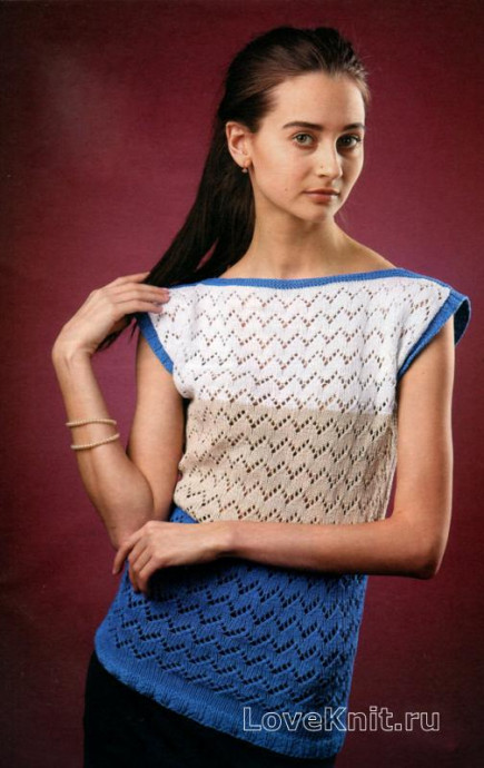 ​Knit Blue and White Pullover with Short Sleeves
