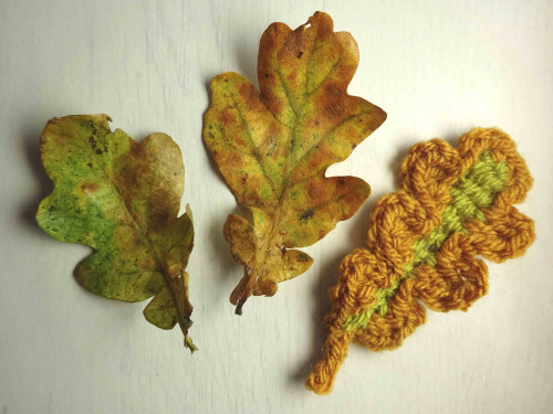 Crafting Beautiful Crochet Leaves and Acorns: A Step-by-Step Guide Crafting Beautiful Crochet Leaves and Acorns: A Step-by-Step Guide
