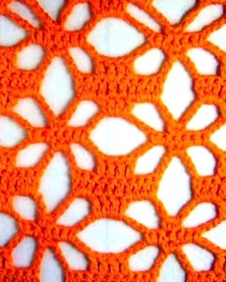 ​Crochet Flowered Net