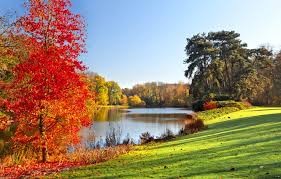 Autumn Apathy Autumn Apathy