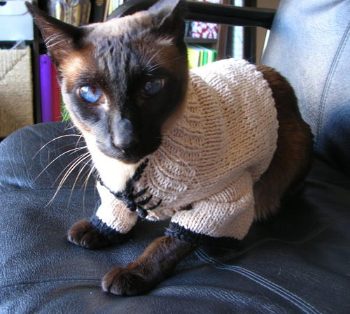 ​Lucky Cat Knitting Sweater