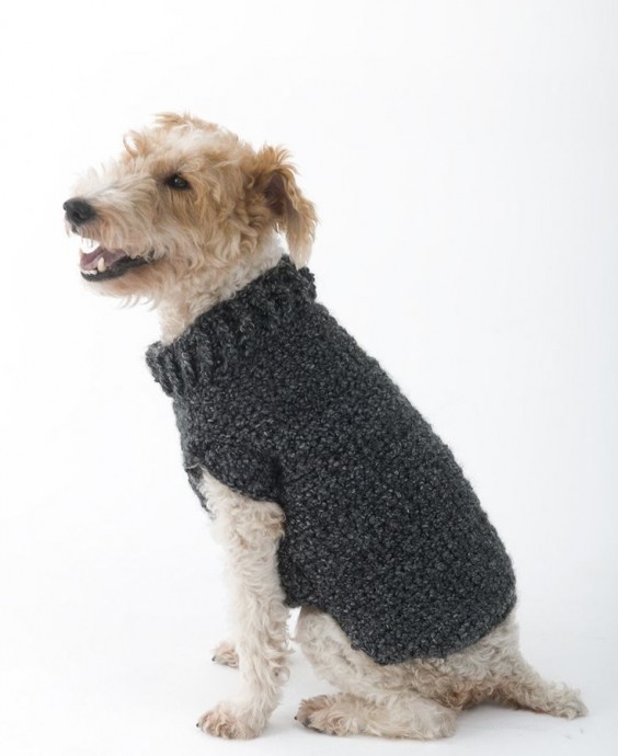 Inspiration. Crochet Dog's Sweaters.