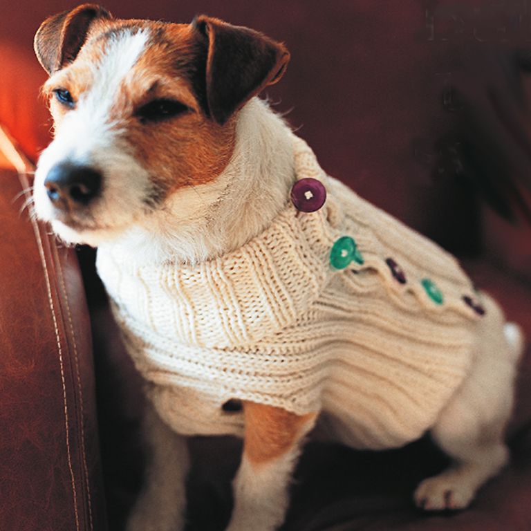 ​Dog Jumper Knitting Pattern