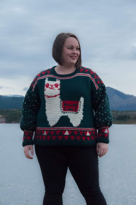 Crochet Sweater with Alpaca Crochet Sweater with Alpaca