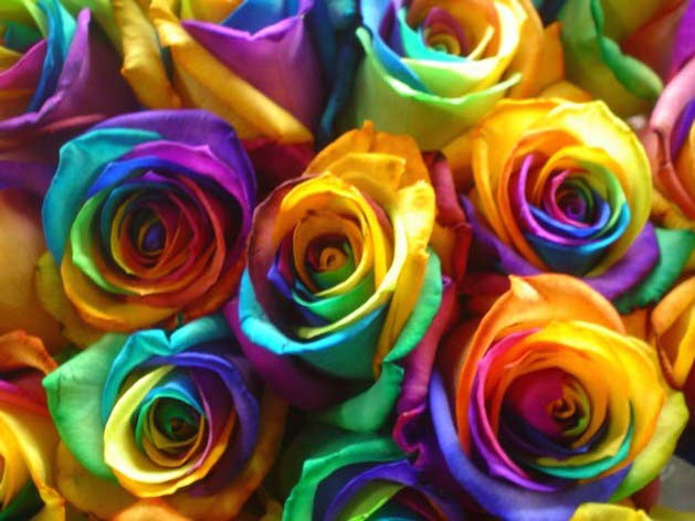 What is your favourite color of clothes? What is your favourite color of clothes?