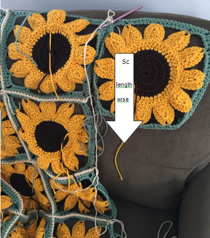 Helping Ann. ​3D Sunflower Crochet Blanket