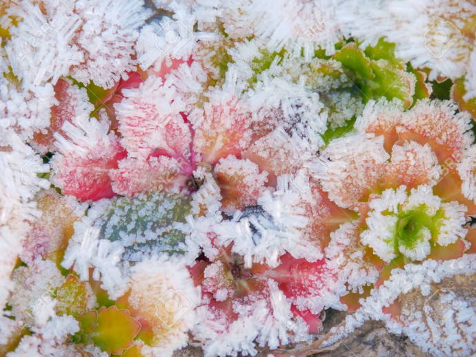 Wishing You a Wonderful Day and Anticipating Spring's Arrival