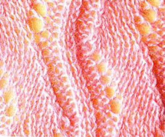 A Complete Guide to Crafting Your Elegant Knitting Pattern A Complete Guide to Crafting Your Elegant Knitting Pattern