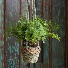 Creative Inspiration for Crochet Hanging Pot-Holders: A Unique Guide to Home Decor Creative Inspiration for Crochet Hanging Pot-Holders: A Unique Guide to Home Decor