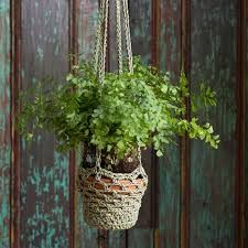 Inspiration. Crochet Hanging Pot-Holders.