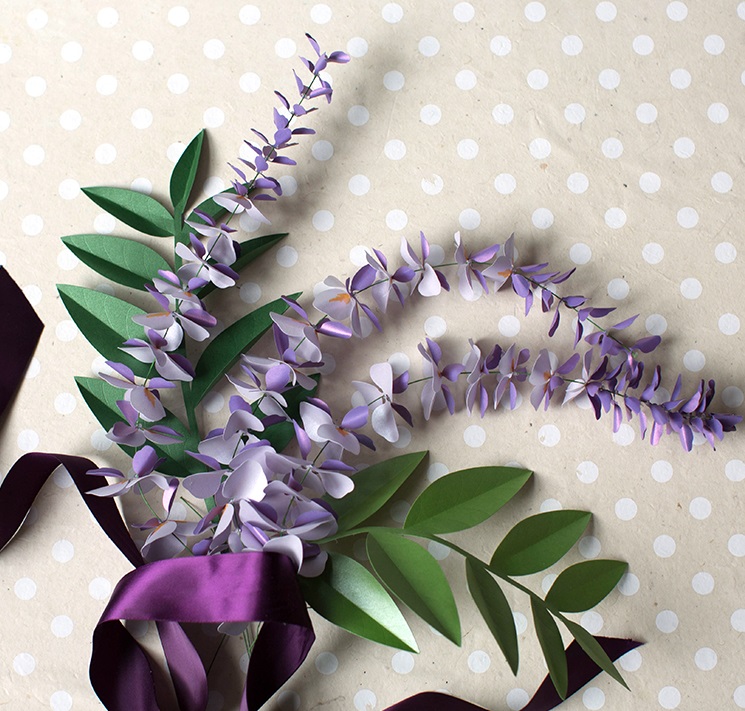 Paper Wisteria Plant Paper Wisteria Plant