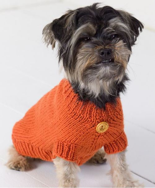 ​Knit Dog Sweater
