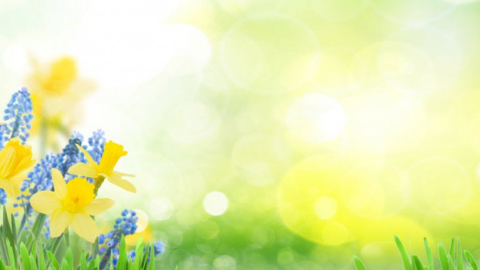Discover the Joys of Countryside and City Living: What Suits You Best? Discover the Joys of Countryside and City Living: What Suits You Best?