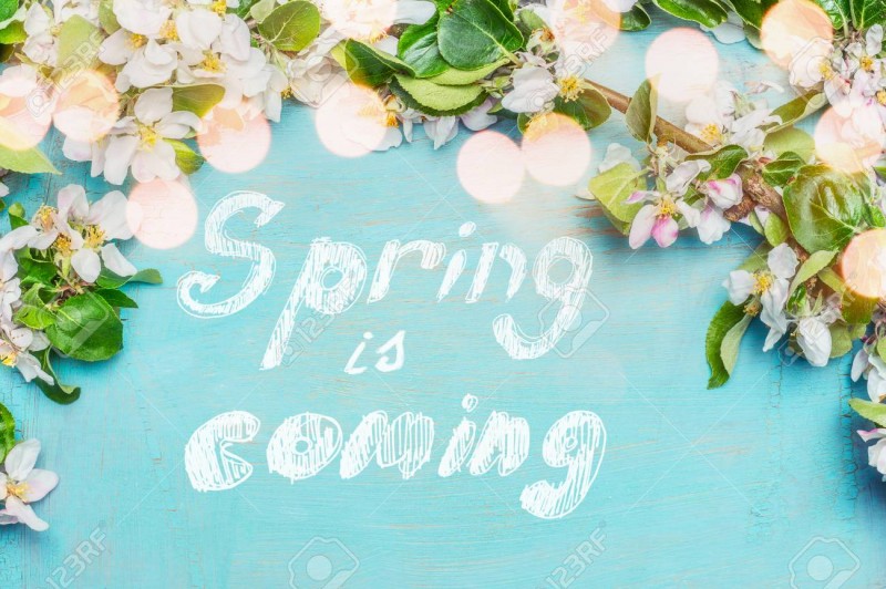 Spring is coming Spring is coming