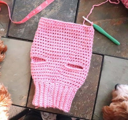 Helping our users. Crochet Sweater for a Small Dog. Helping our users. Crochet Sweater for a Small Dog.