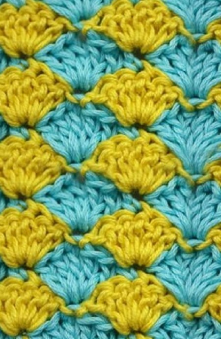 ​Two-Colored Sea-Shells Crochet Stitch