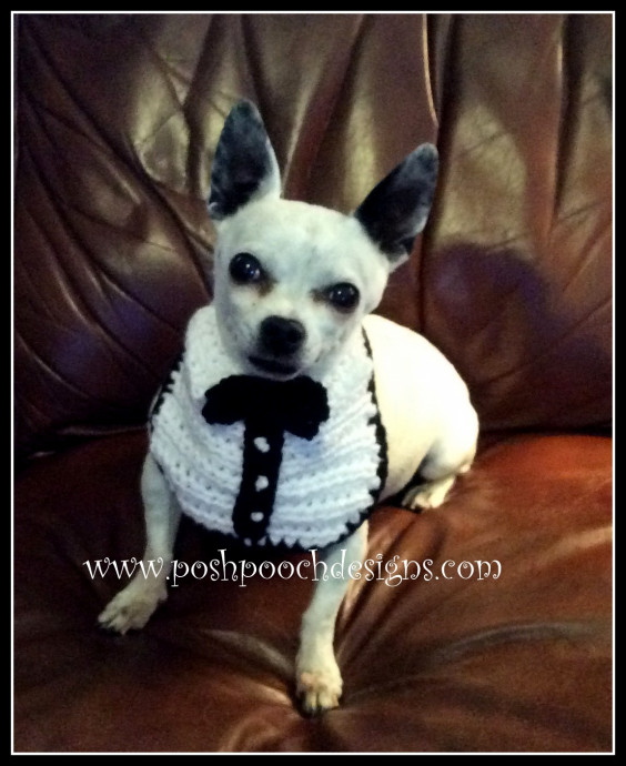 Helping our users. ​Crochet Tuxedo for Small Dog.