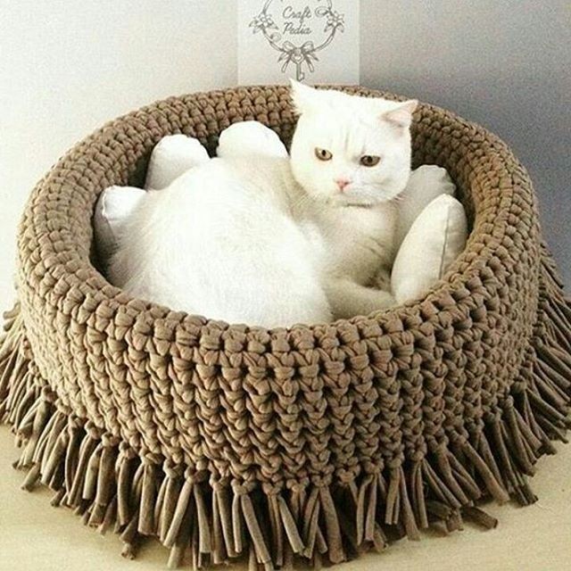 Creative Inspiration for Crochet Pet Houses: A Guide to Cozy Designs Creative Inspiration for Crochet Pet Houses: A Guide to Cozy Designs