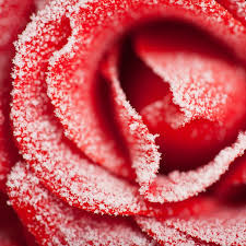 Wishing Crafters a Great Day: The Importance of Giving and Receiving Gifts Wishing Crafters a Great Day: The Importance of Giving and Receiving Gifts