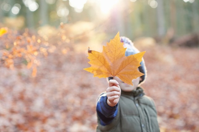 Heartfelt Thanksgiving Wishes and Traditions to Cherish with Loved Ones Heartfelt Thanksgiving Wishes and Traditions to Cherish with Loved Ones