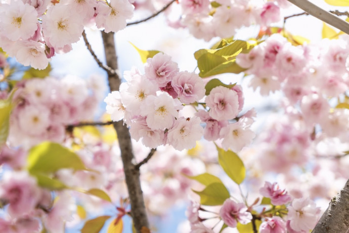 A Warm Wish for a Joyful Day Filled with Creative Crafts