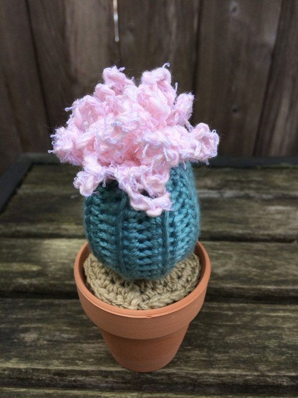 Crochet Cactus with Flower