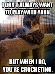 Funny cats