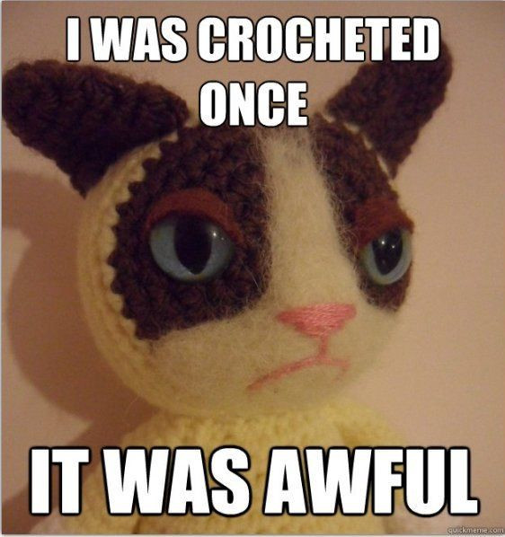 Funny cats