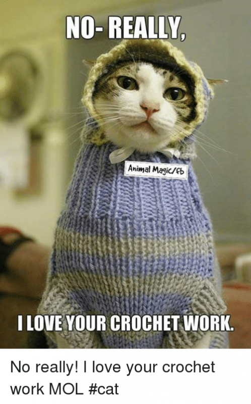 Funny cats
