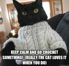 Funny cats