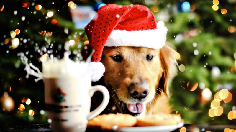 Some cute and funny pictures to make you smile