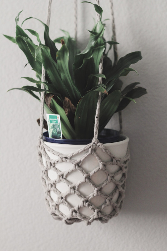 Plant hanger