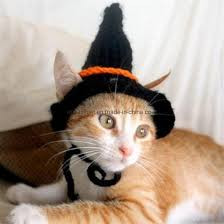 Crochet Cloths for Pets