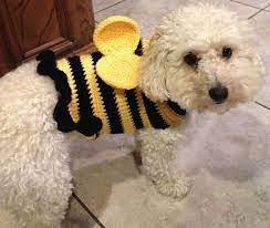 Crochet Cloths for Pets
