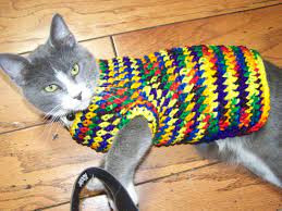Crochet Cloths for Pets