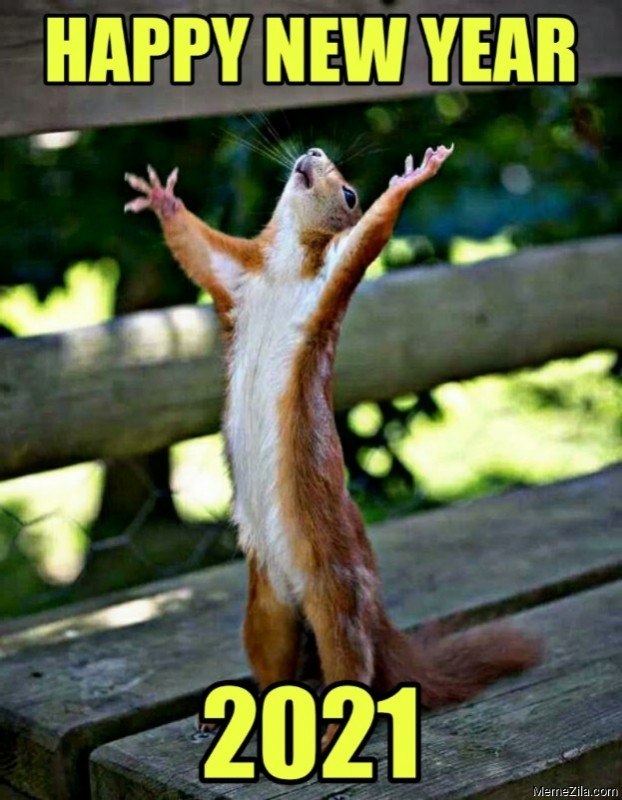 Happy New Year 2021 Memes 😃
