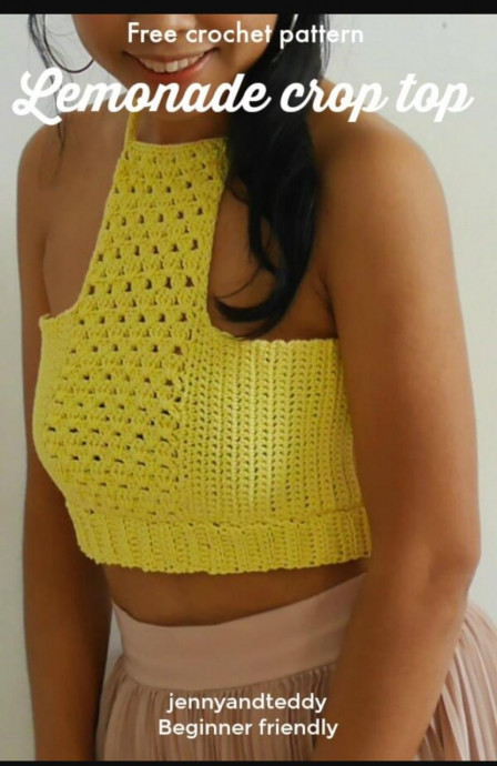 Create Your Own Summer Crop Top with Basic Crochet Stitches Create Your Own Summer Crop Top with Basic Crochet Stitches