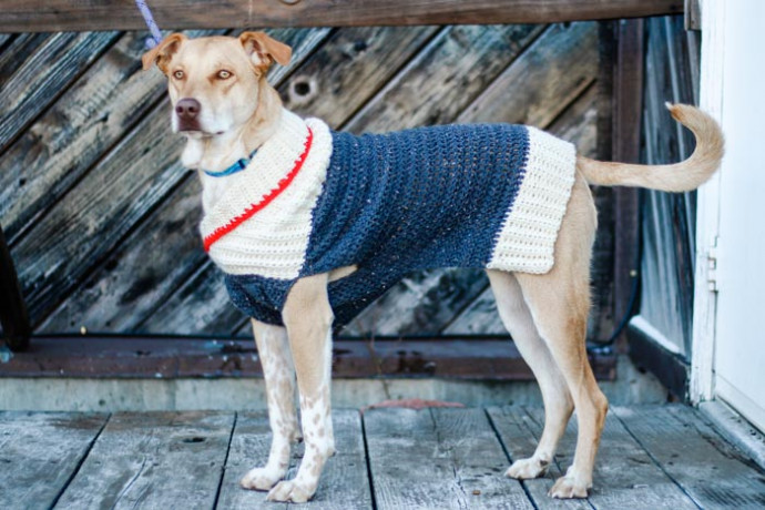 Super cute dog sweater!