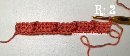 Crochet Fruit Stripe Pot Holder