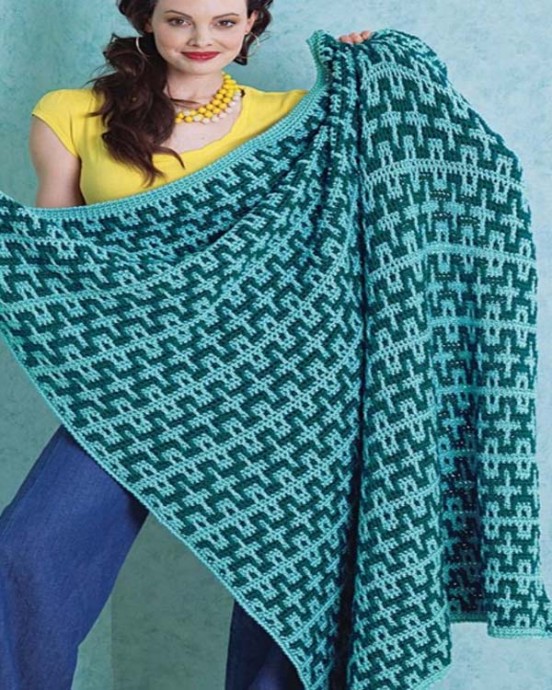 Create Your Own Stunning Handmade Beach Blanket: A Complete Crochet Guide Create Your Own Stunning Handmade Beach Blanket: A Complete Crochet Guide