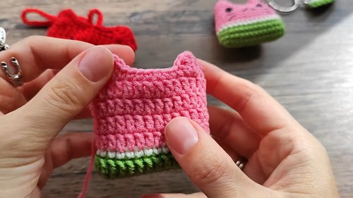 Crochet Catermelon Airpods Pouch: A Fun and Functional Accessory for Your Airpods