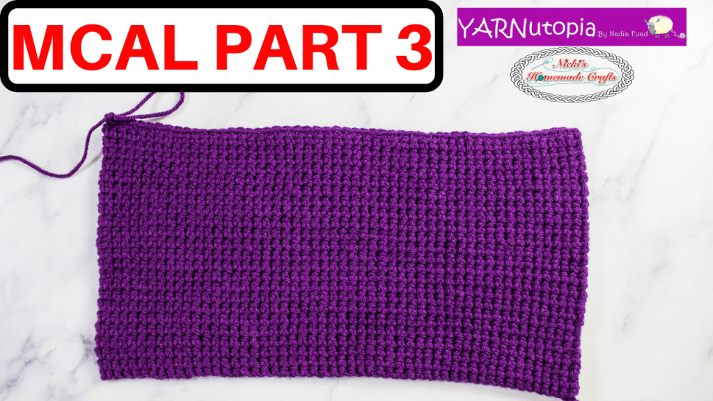 Crochet Mystery Medley Tote Bag
