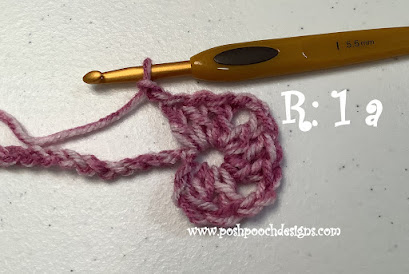 Create Stunning Crochet Rectangle Picot Granny Blanket: A Detailed Guide
