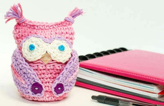 Crochet Owl Apple Cozy Pattern