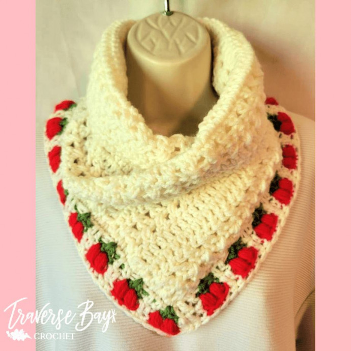 Crochet Cherry Neck Warmer Cowl