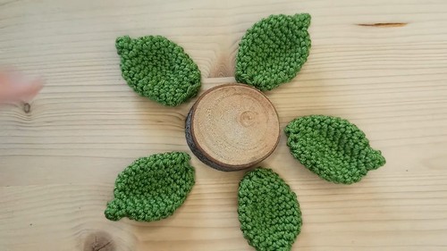 Create Your Own Adorable Crochet Succulent Plants for Home Decor