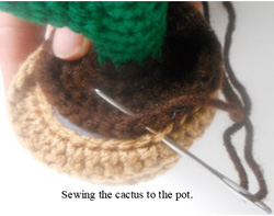 Create Adorable Crocheted Cactus Plants: A Step-by-Step Guide for Beginners and Experts alike