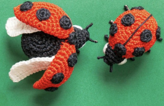 Create Your Own Adorable Ladybug Crochet Project: A Step-by-Step Guide Create Your Own Adorable Ladybug Crochet Project: A Step-by-Step Guide