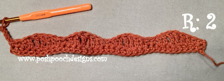 Crochet Waves Dish Towel With Topper